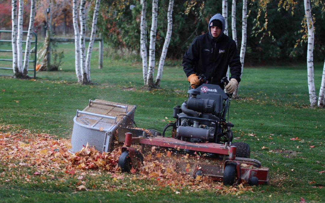 The Ultimate Guide to Leaf Collectors – Comparing Styles