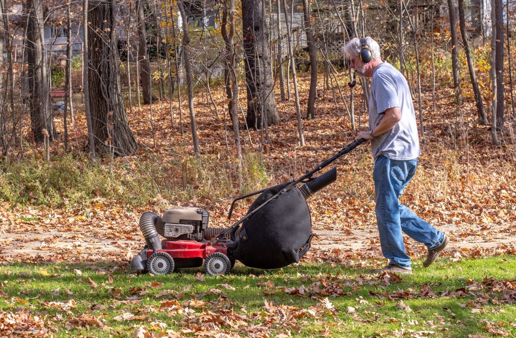 Push Leaf Vacuum