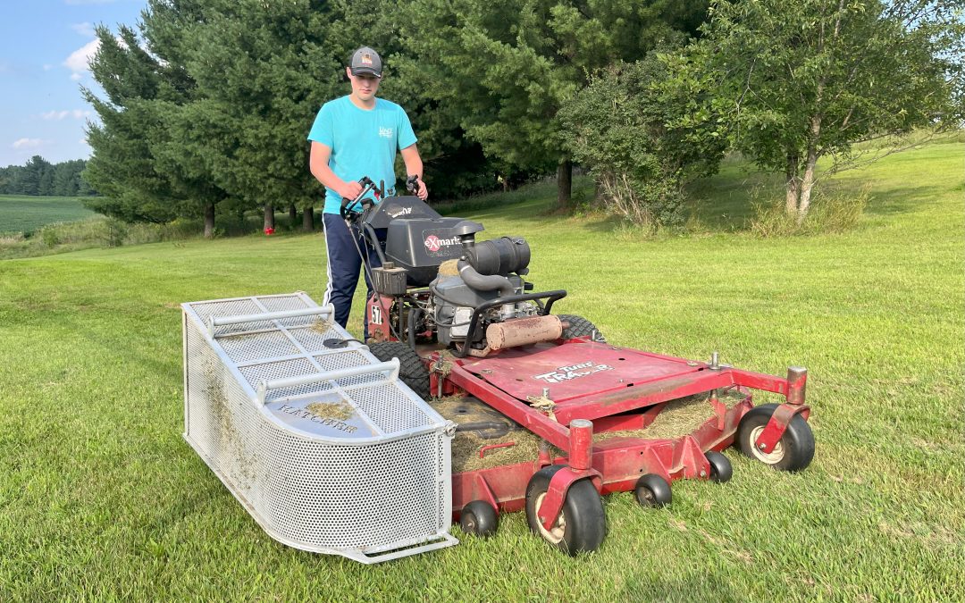 When is the Best Time to Use a Grass Clipping Collector?