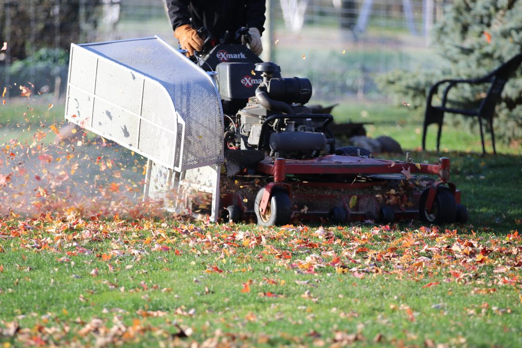 KAGE Katcher grasscycling