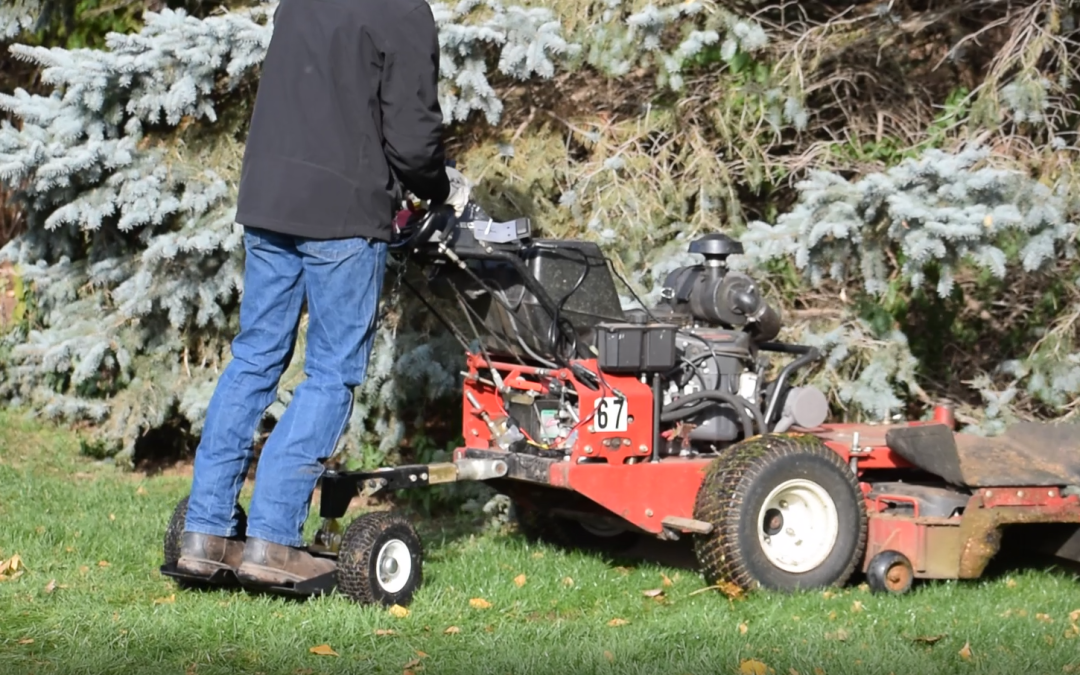 Best Mower For Under Trees: Walk Behind vs Zero Turn